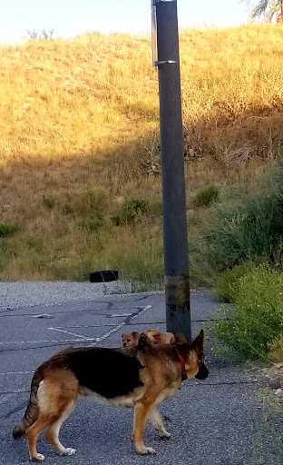 Amphitheater «USANA Amphitheatre», reviews and photos, 5150 S 6055 W, West Valley City, UT 84118, USA