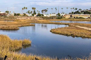 Famosa Slough image