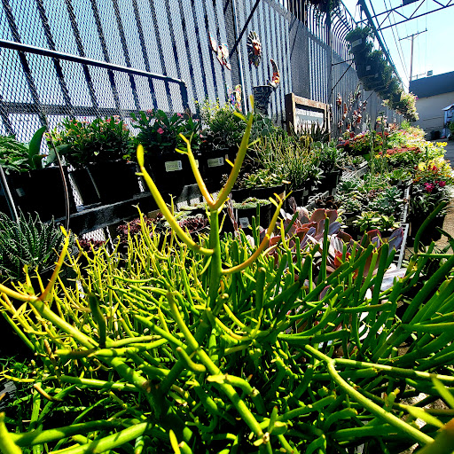 Hardware Store «DIY Center», reviews and photos, 3221 W Magnolia Blvd, Burbank, CA 91505, USA