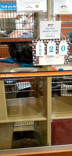 Dollar Store «Dollar Tree», reviews and photos, 9534 Main Street, Fairfax, VA 22031, USA