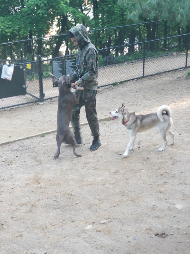 Dog Park «Forest Park Dog Run», reviews and photos, 8445 Park Ln S, Woodhaven, NY 11421, USA