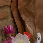 Photo n°12 de l'avis de Cat.r fait le 17/04/2022 à 19:45 sur le  Osteria Pinchiorba à Gambassi Terme