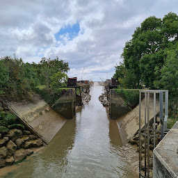 Photo n°4 de Port et carrelets à Saint-Thomas-de-Conac ()
