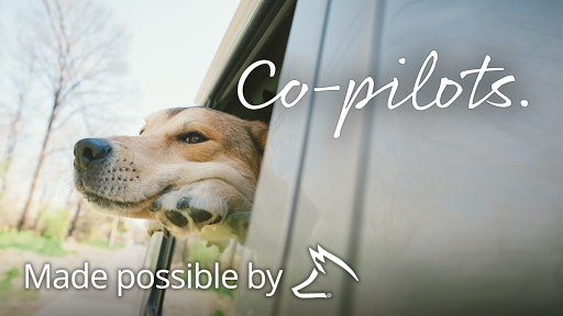 Hyundai Dealer «Fox Hyundai», reviews and photos, 4141 28th St SE, Grand Rapids, MI 49512, USA