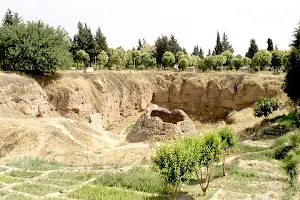 Hama Castle image