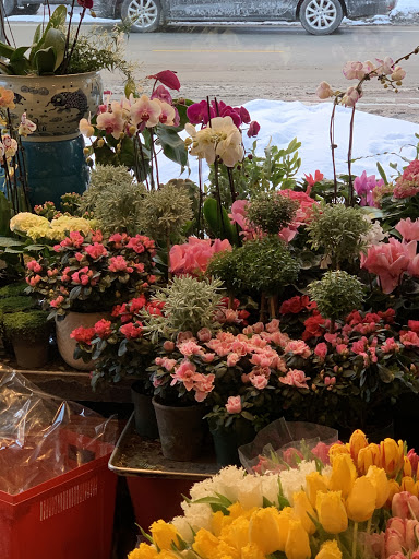 Florist «Green Inc», reviews and photos, 1718 N Wells St, Chicago, IL 60614, USA