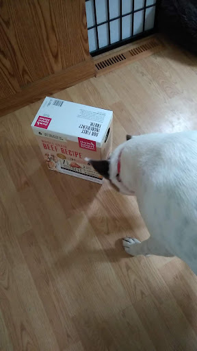 Pet Supply Store «Petco Animal Supplies», reviews and photos, 13 Welles St, Glastonbury, CT 06033, USA