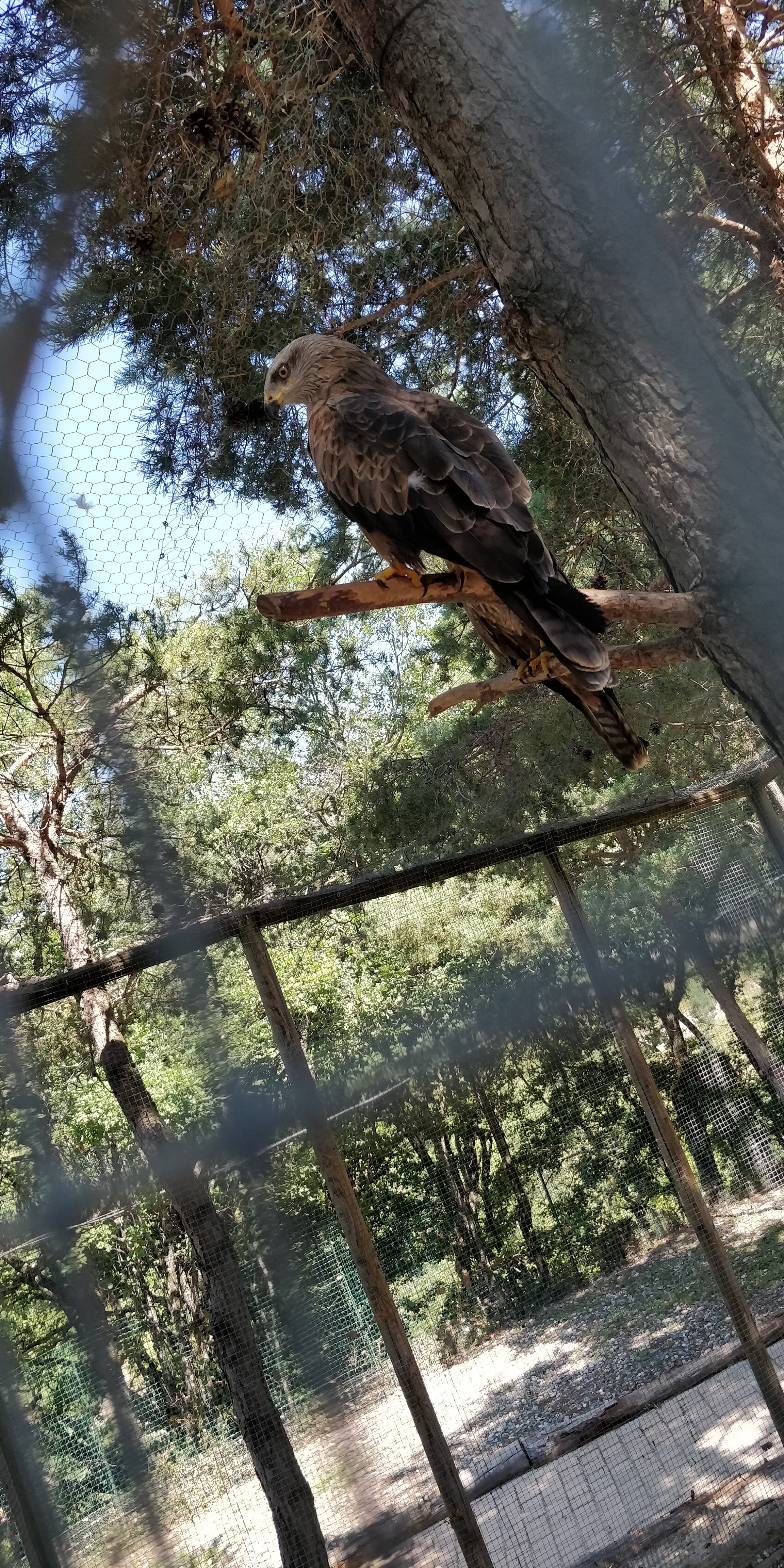 Photo n° 32 de l'avis de Sylvain.e fait le 02/08/2018 à 06:25