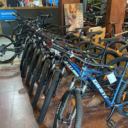 Bicio Bike Shop