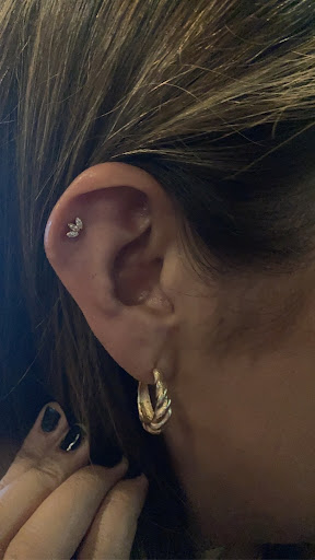 Body Piercing Shop «Big Brain», reviews and photos, 1123 Jackson St, Omaha, NE 68102, USA