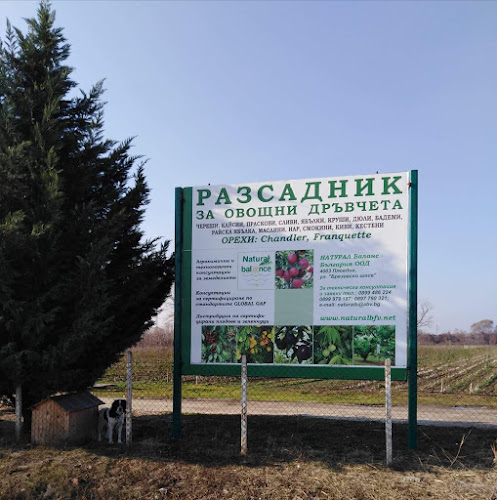 Натурал баланс - България ООД /разсадник за овощни дръвчета/ - Детска градина