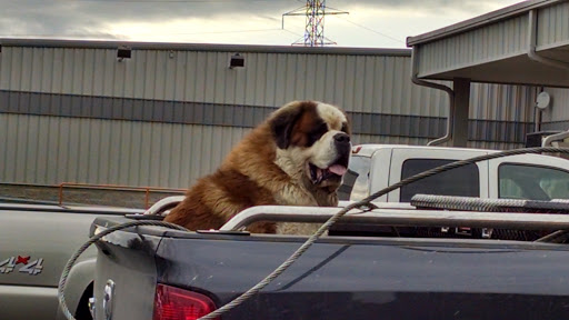 Motorcycle Dealer «Appleton Harley-Davidson», reviews and photos, 5322 Clairemont Dr, Appleton, WI 54913, USA