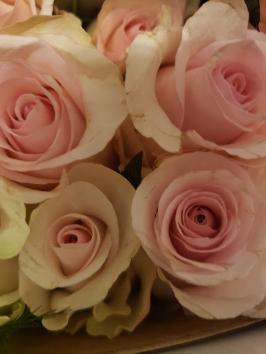 Florist «Treasures Remembered Florist», reviews and photos, 600 W Locust St, Princeton, KY 42445, USA