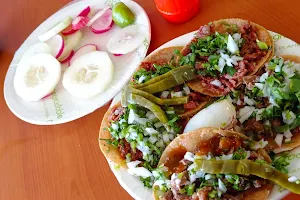 Tacos Laurita image