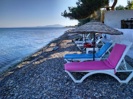 Neverland Camp beach