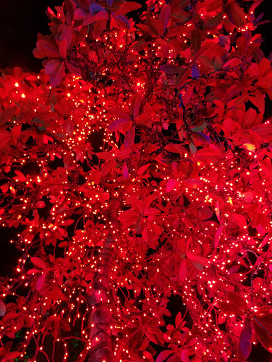 Place of Worship «The Grotto», reviews and photos, 8840 NE Skidmore St, Portland, OR 97220, USA