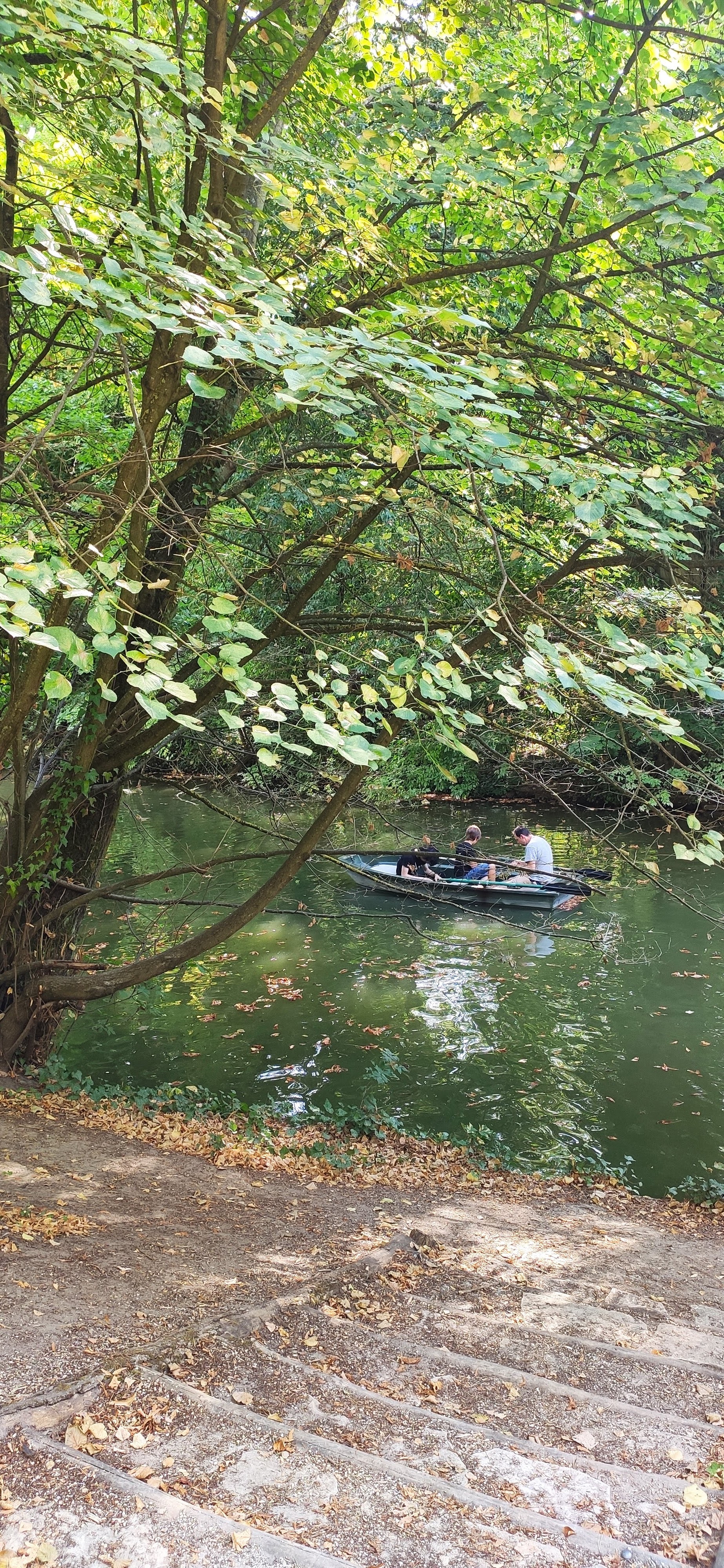 Photo n° 3 de l'avis de reg.a fait le 10/08/2020 à 08:51