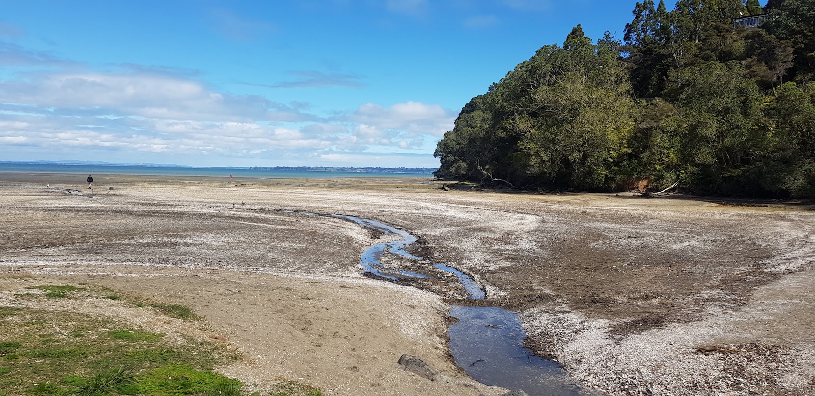 Foto av Titirangi Beach med beige sand och småsten yta