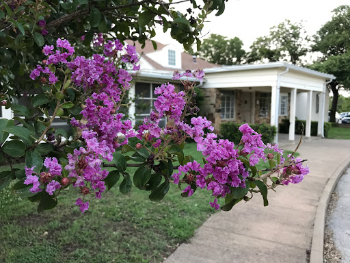 Tourist Attraction «Winfrey Point», reviews and photos, 950 E Lawther Dr, Dallas, TX 75218, USA