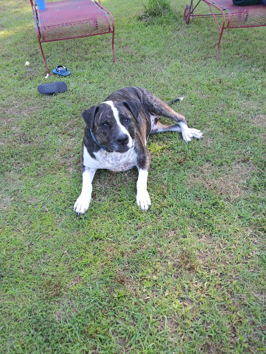 5427 AR-367, Beebe, AR 72012, USA