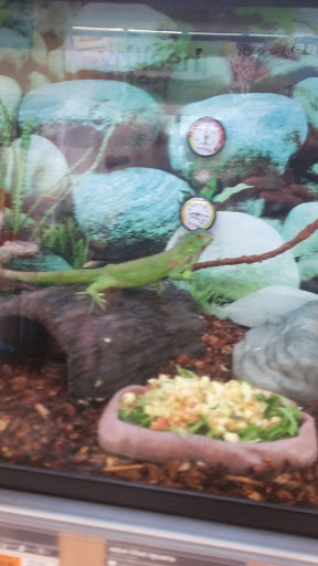 Pet Supply Store «Petco Animal Supplies», reviews and photos, 1215-1309 NJ-33 #1, Hamilton Township, NJ 08690, USA