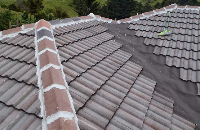 Reviews of Pro Roof Renovators in Pukekohe East - Construction company