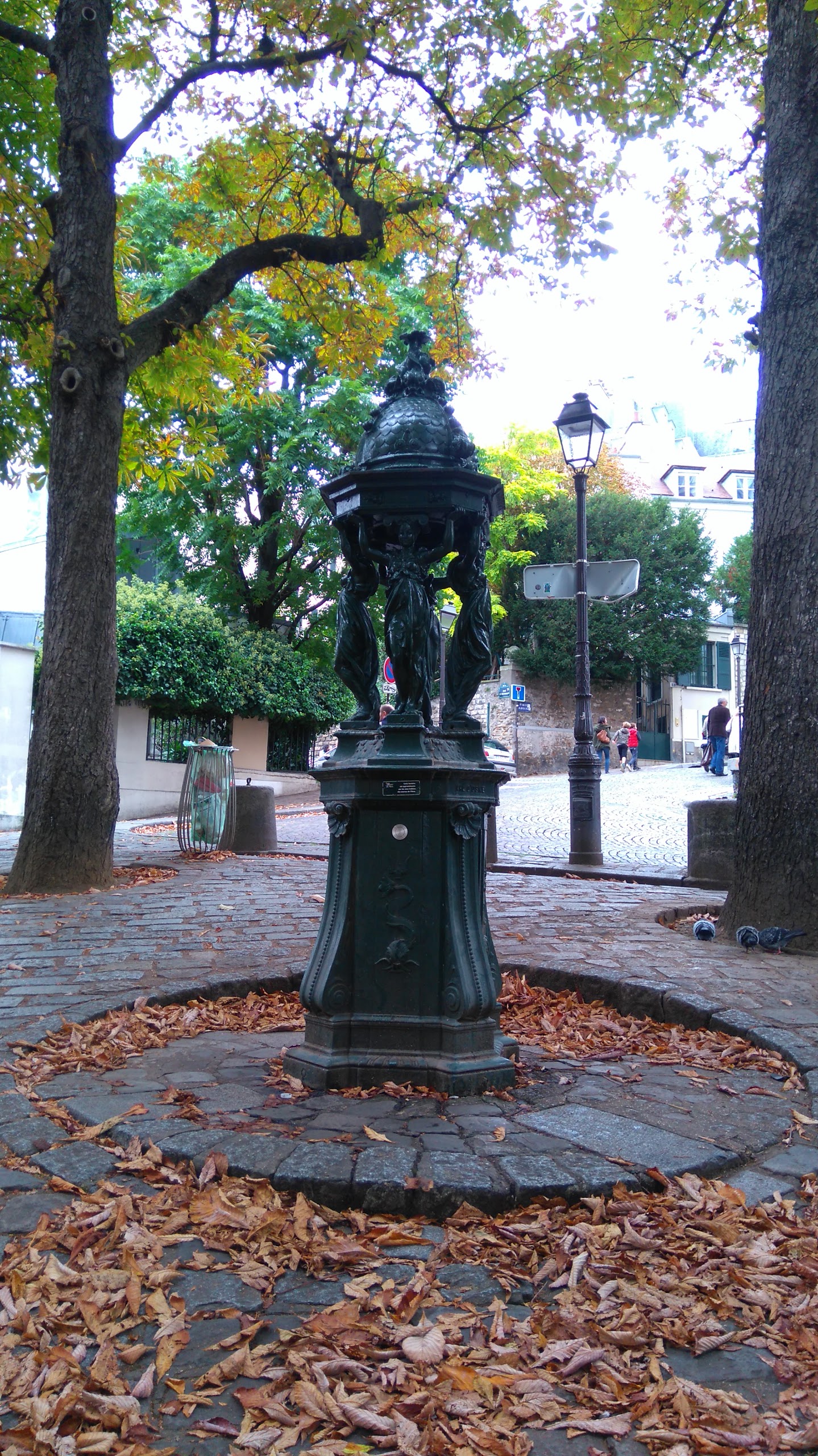 Photo n° 1 de l'avis de Lionel.i fait le 06/10/2017 à 16:13