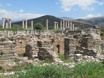 Bishop of Stauropolis Home