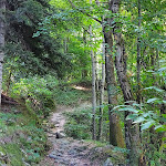 Photo n°10 de l'avis de Mauro.. fait le 19/08/2021 à 16:00 sur le  Le Sorgenti Ospitale à Fanano