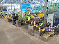 Lowe's Home Improvement - Photo 6 - Car repair in Smyrna, TN, Chattanooga