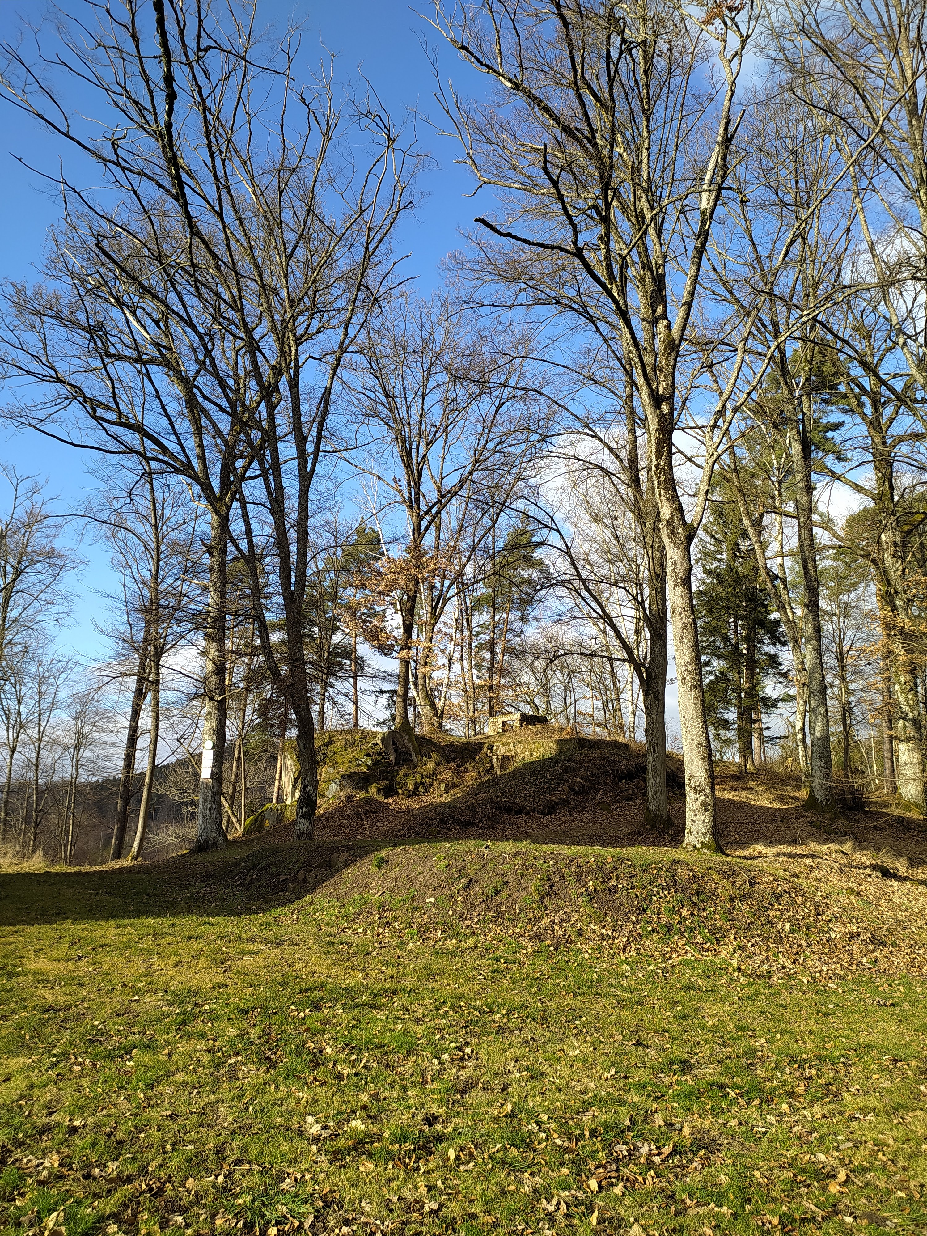 Photo n° 7 de l'avis de Cathy.u fait le 30/01/2022 à 13:56