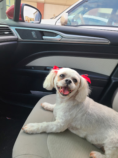 Pet Supply Store «PetSmart», reviews and photos, 4824 211th St, Matteson, IL 60443, USA