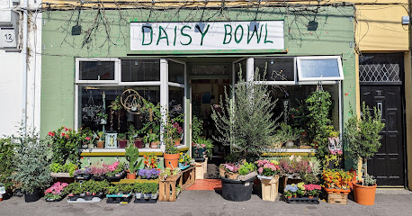Daisy Bowl Florists