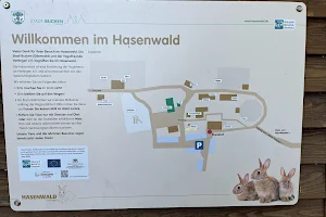 Wildgehege Hasenwald image