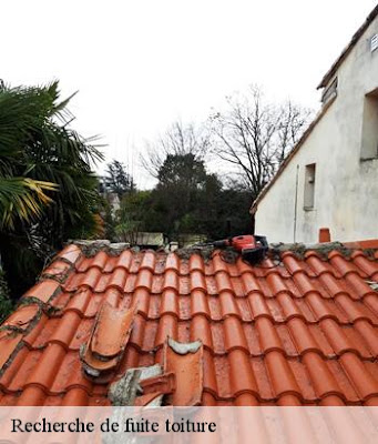 CLEMENT Rénovation à Messein