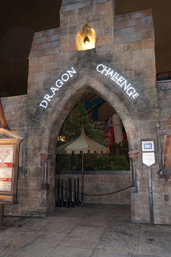 Roller Coaster «Dragon Challenge», reviews and photos, 6000 Universal Blvd, Orlando, FL 32819, USA