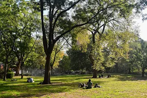 Tompkins Square Park image