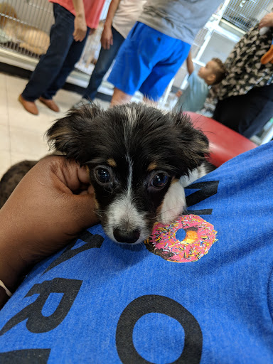 Pet Supply Store «Zoo-Rama Pets», reviews and photos, 2566 E Tremont Ave, Bronx, NY 10461, USA