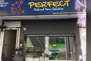 Perfect Natural Hair Solution image