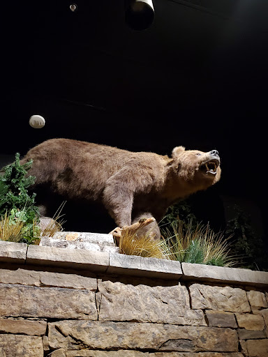 Habitat For Humanity