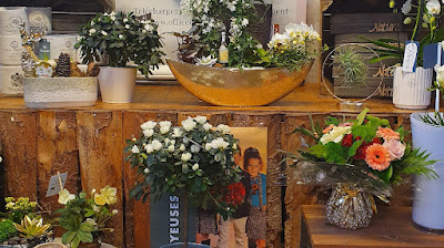 La Nature en fleurs à Toul