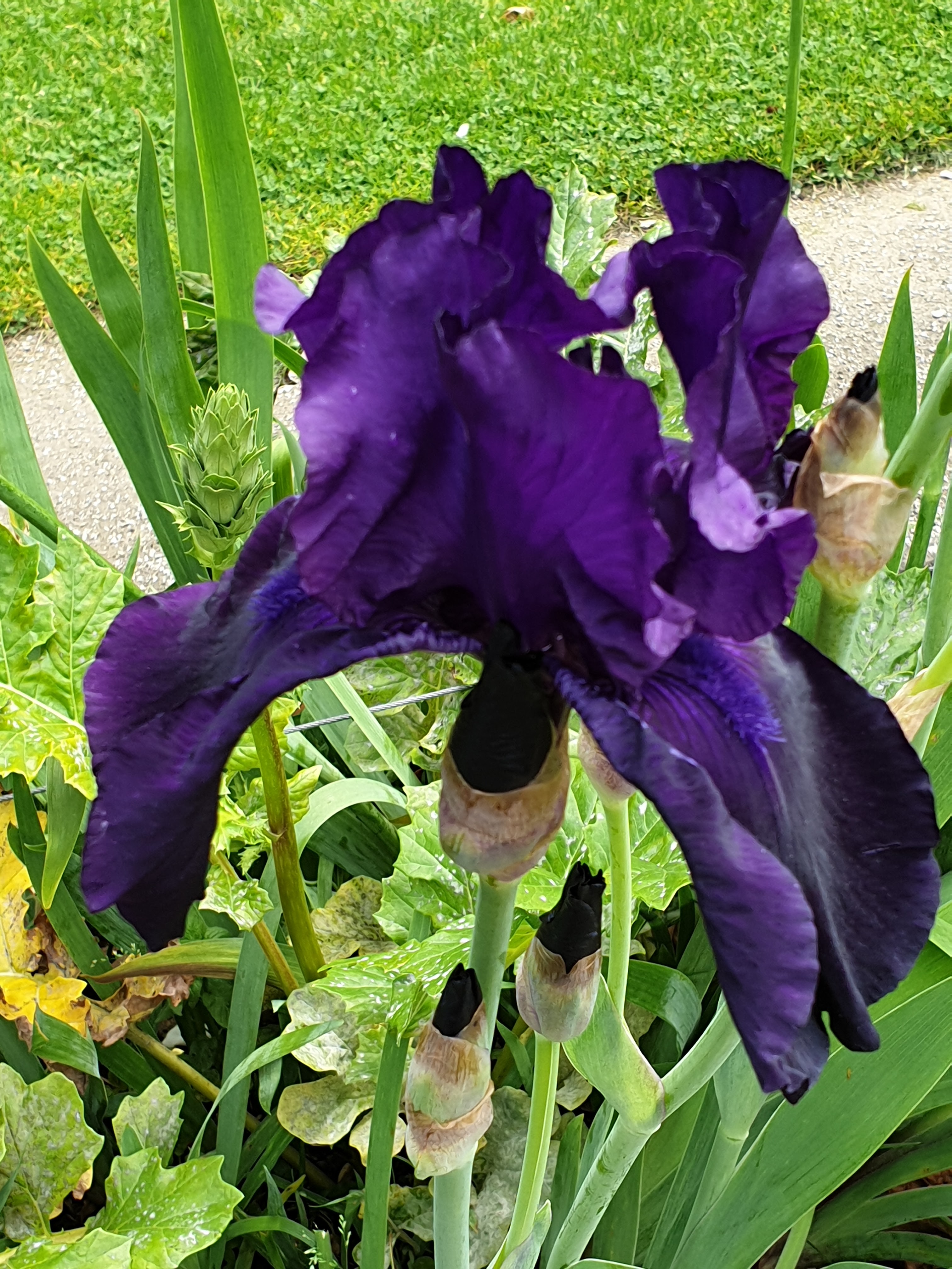 Photo n° 1 de l'avis de Maïté.O fait le 29/05/2019 à 14:50