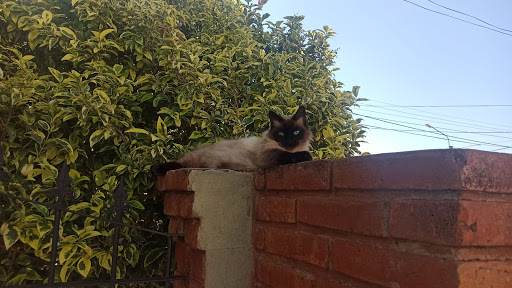  «Chrysler Building», reviews and photos, 405 Lexington Ave, New York, NY 10174, USA