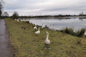 Lochend Loch image