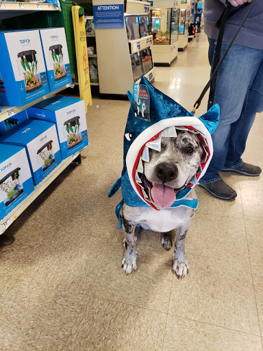 Pet Supply Store «PetSmart», reviews and photos, 2101 Elmwood Ave, Buffalo, NY 14207, USA