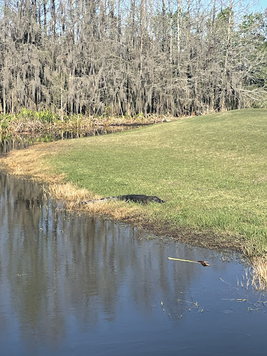 Golf Course «Deer Island Country Club», reviews and photos, 18000 Eagles Club House Way, Tavares, FL 32778, USA