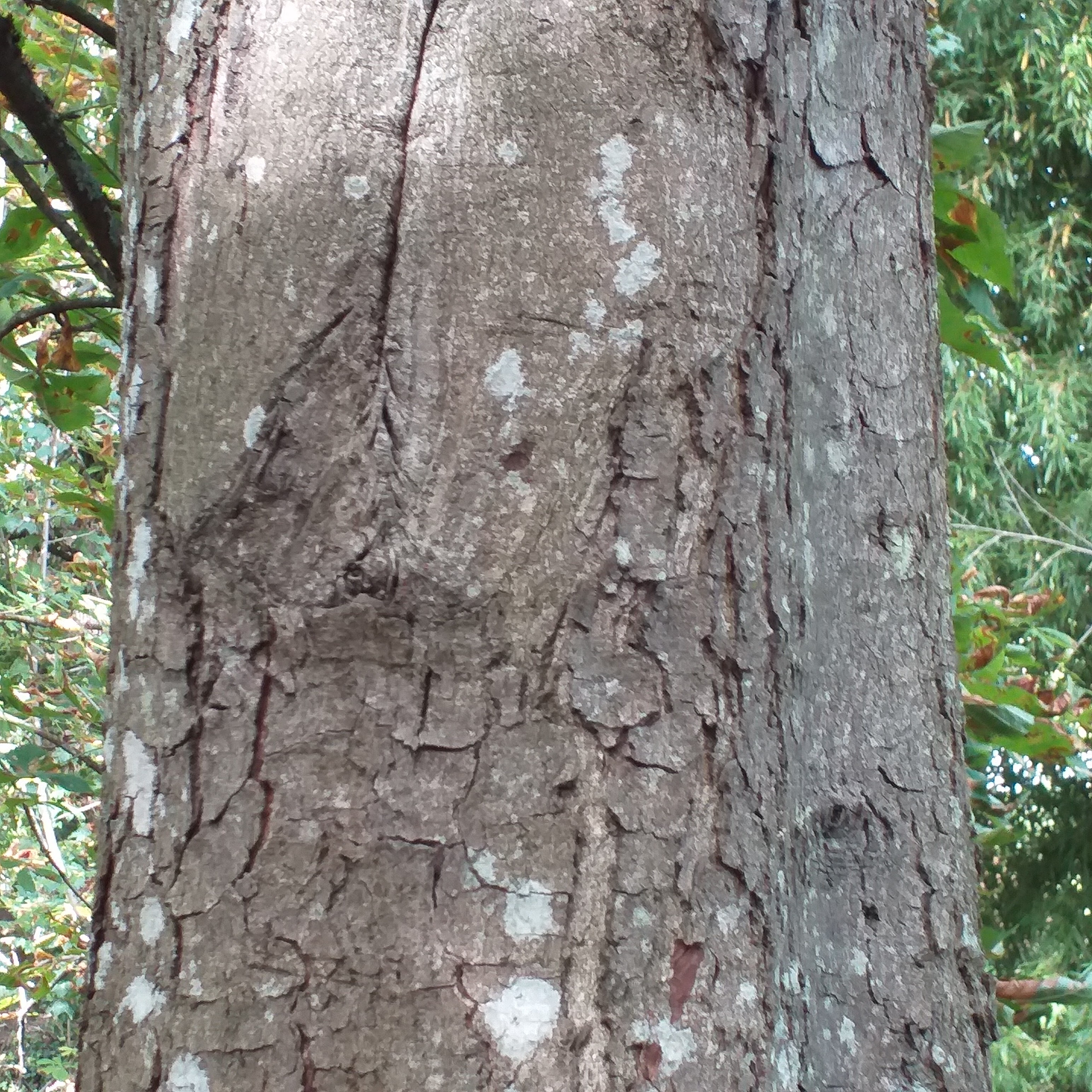 Photo n° 5 de l'avis de Guy.a fait le 17/09/2023 à 17:20