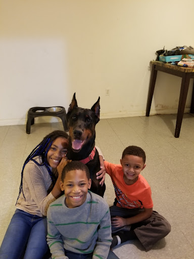 Pet Supply Store «Petco Animal Supplies», reviews and photos, 200 Center Blvd S, Christiana, DE 19702, USA