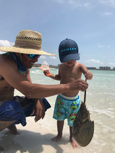 Boat Rental Service «Boat Rentals at Naples Bay Resort», reviews and photos, 1500 5th Ave S, Naples, FL 34102, USA