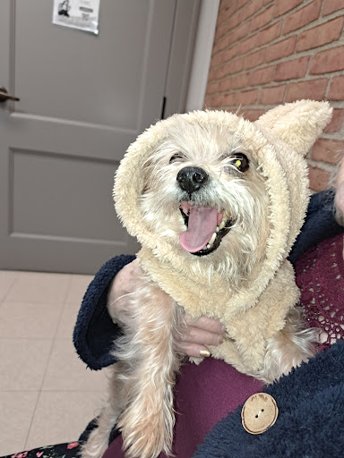 Groveport Animal Clinic image